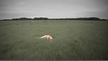 AL_ChrisLutton_S01_NewburyportMA_351_ERm_c_16x9