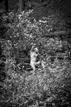 AL_DokWright_S01_VT_1159_LR_r