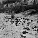 ALMap_TPG_S01_OroValleyAZ_5035_r